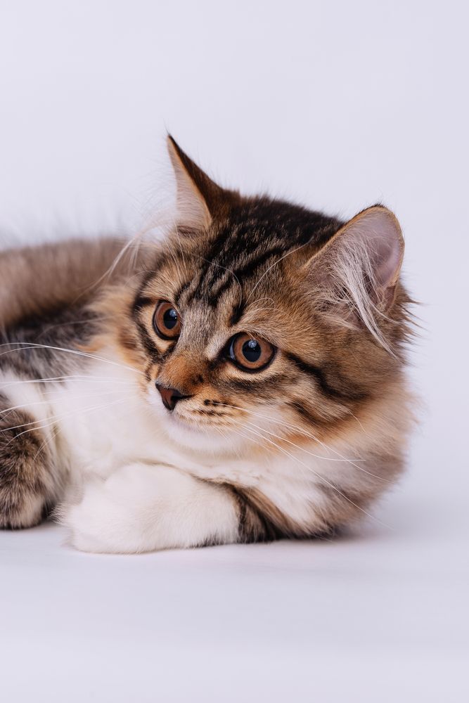 Photograph by Мария Жданова