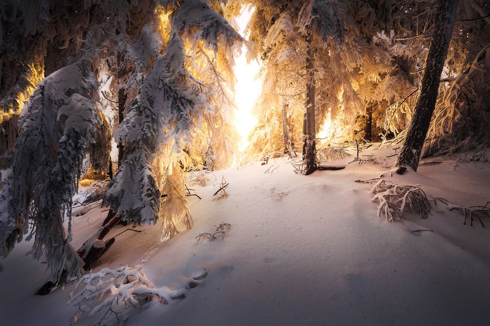 Фотография автора Peter Dužek