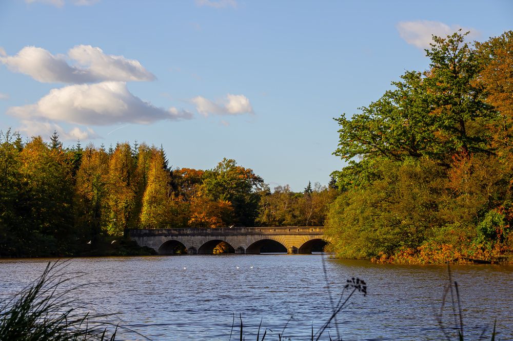 Photograph by Teodora Cdr