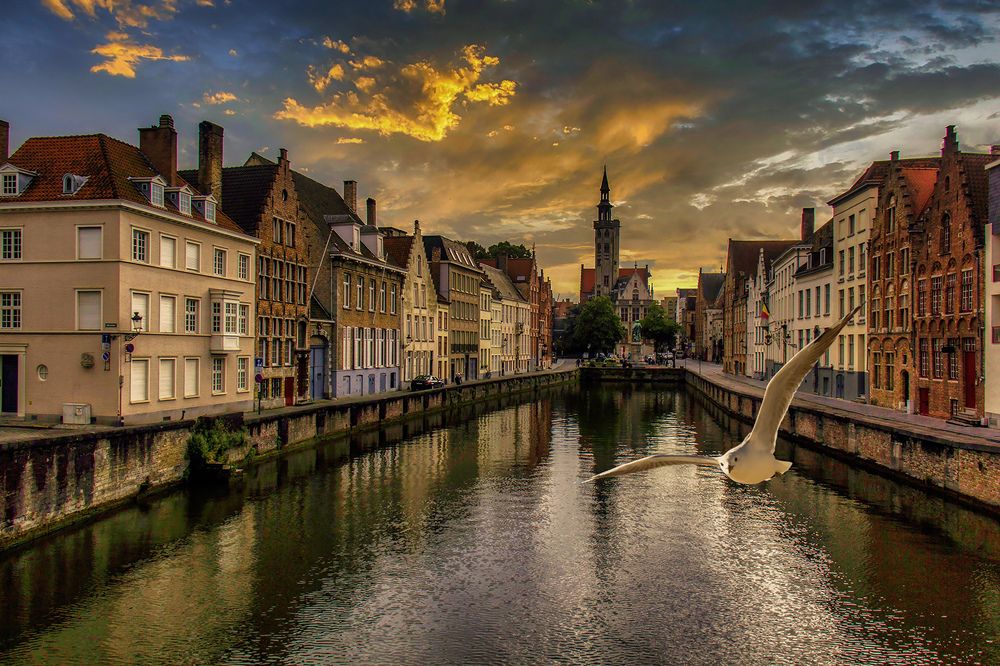 Photograph by Daniel Peterburg