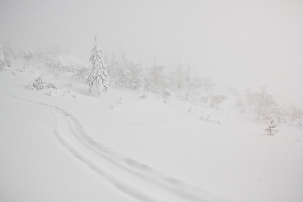 Photograph by Виктория Байкова