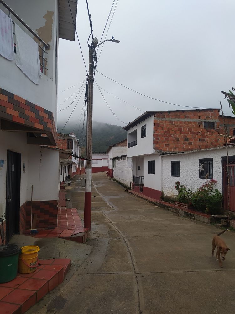 Mañanas frías en el sur del cesar