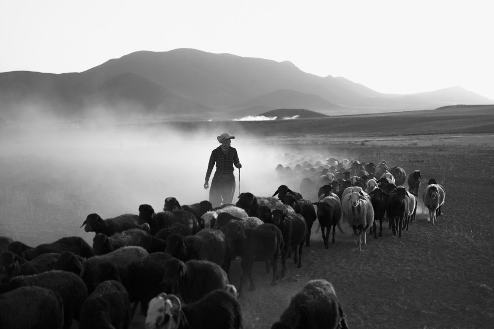 Photograph by Ali Karimi