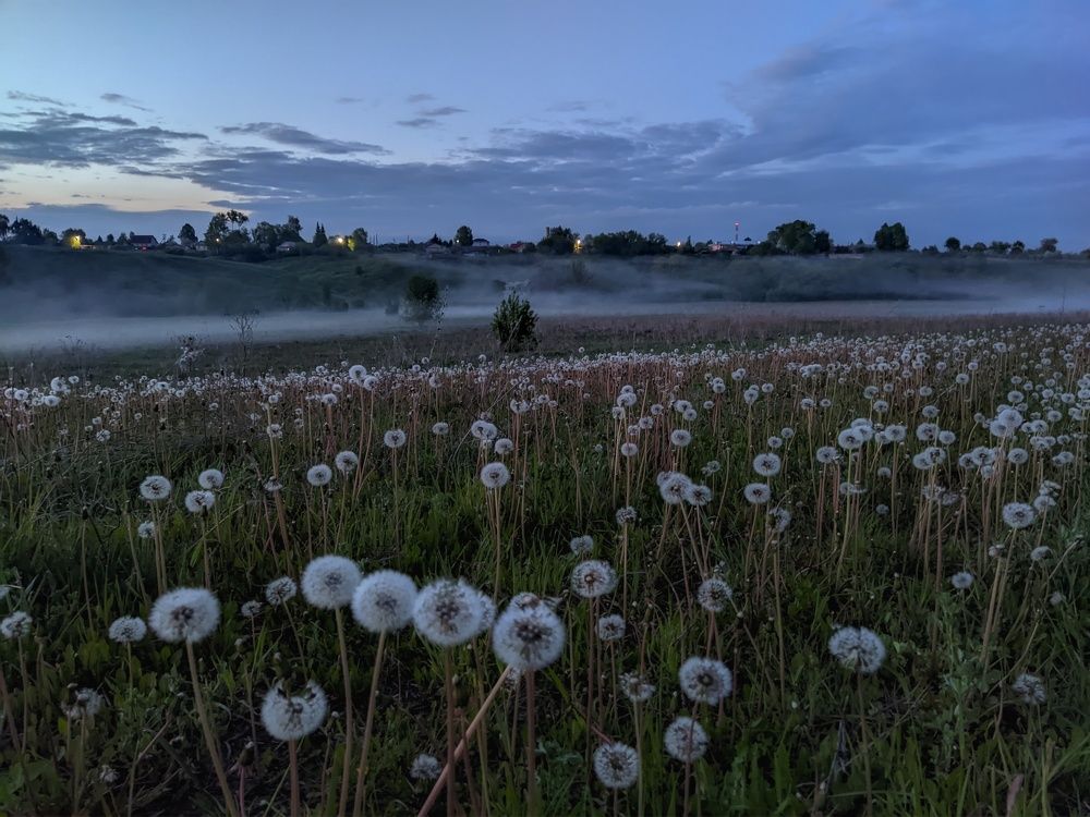 Photograph by Светлана Кондрашова