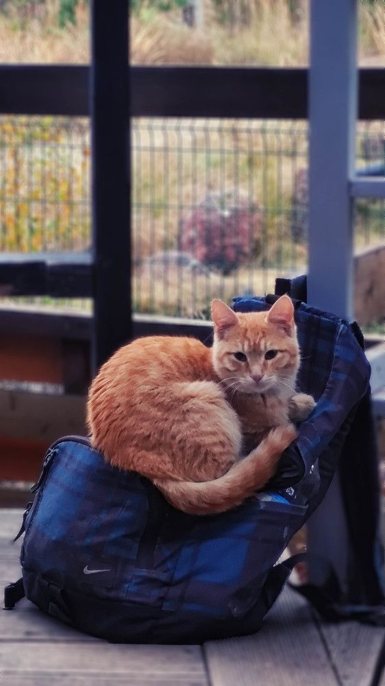 Photograph by Yulian Mr