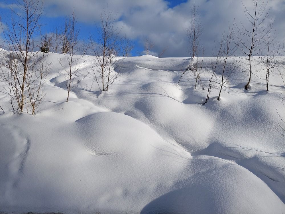 Photograph by Елена Тимченко