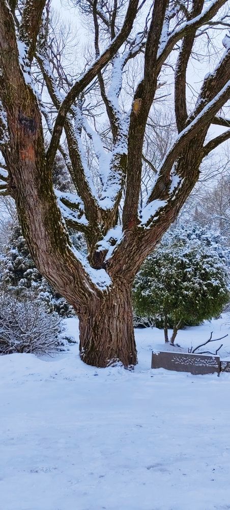 Photograph by Наталья Липко