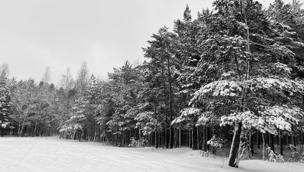 Photograph by Rina Tihomirova