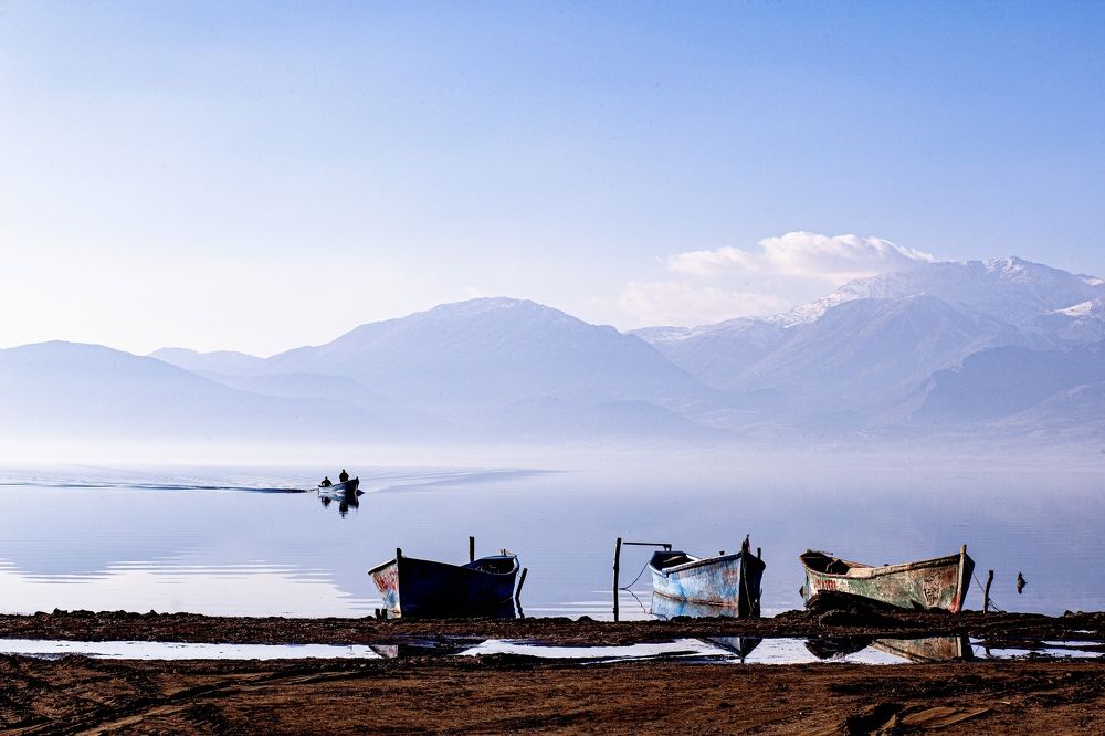 Photograph by Алина Сухова