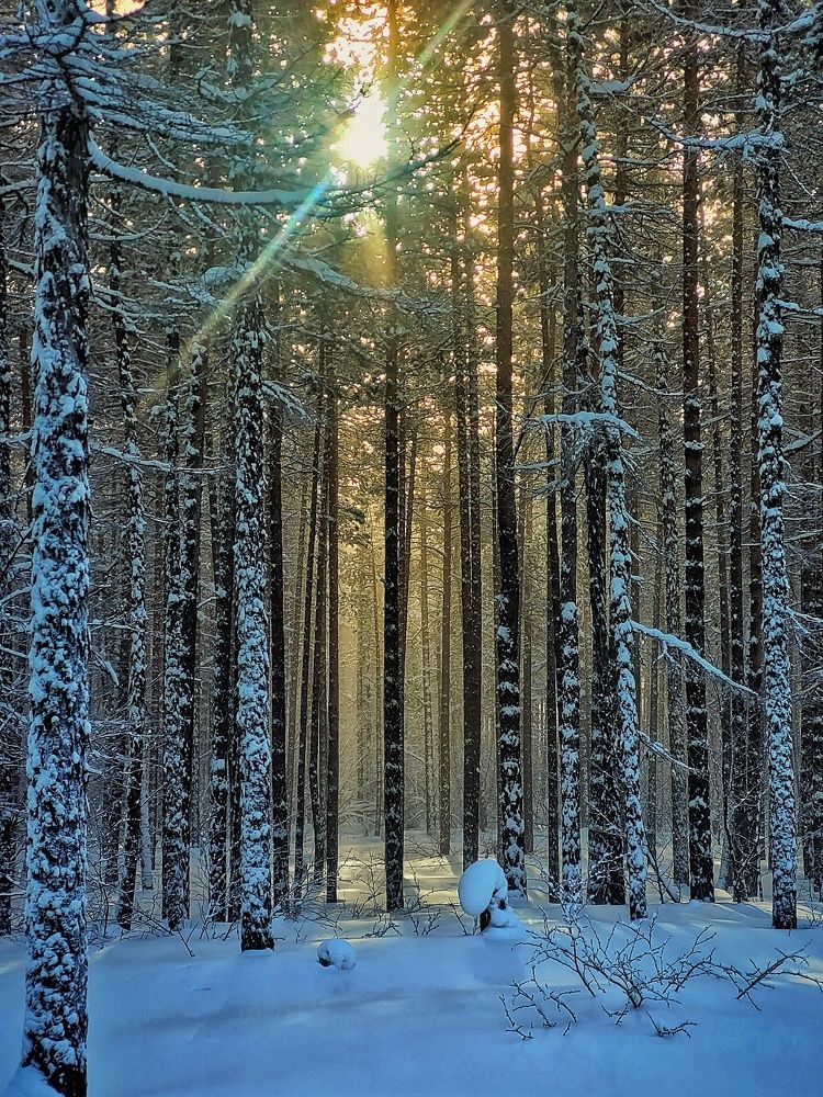 Photograph by Елена