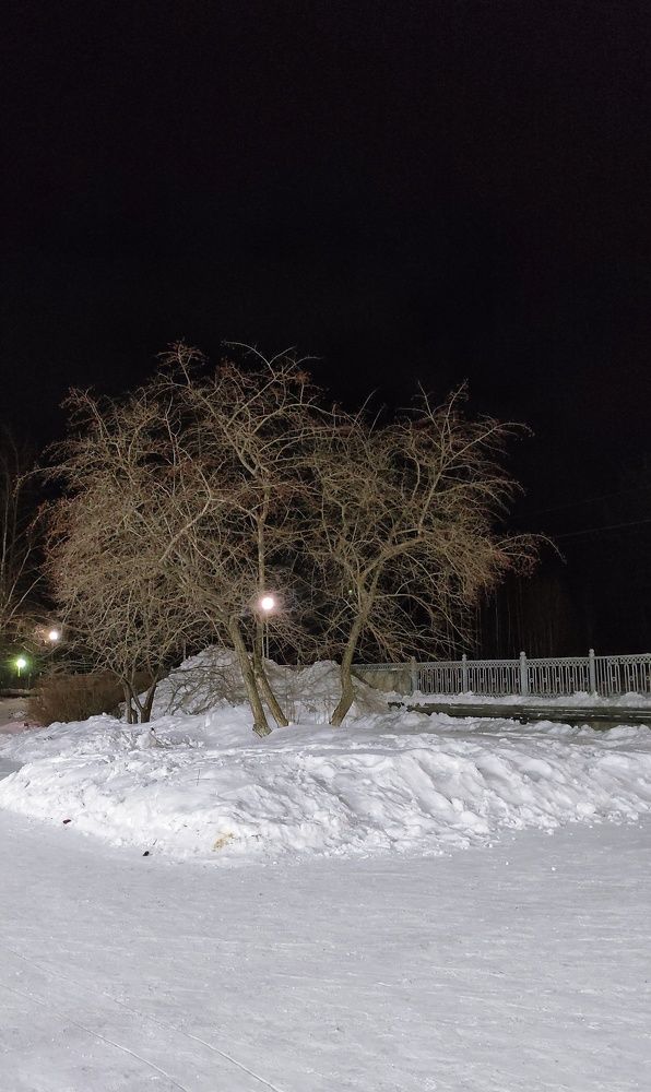 Photograph by Наталья Рау