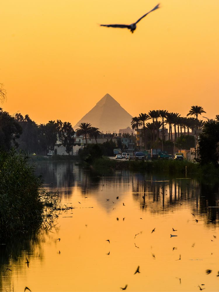 Photograph by Ahmed Emad