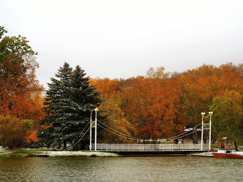 Фотография автора Olena Vorotyntseva