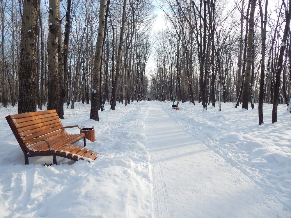 Любимая скамейка на аллее.