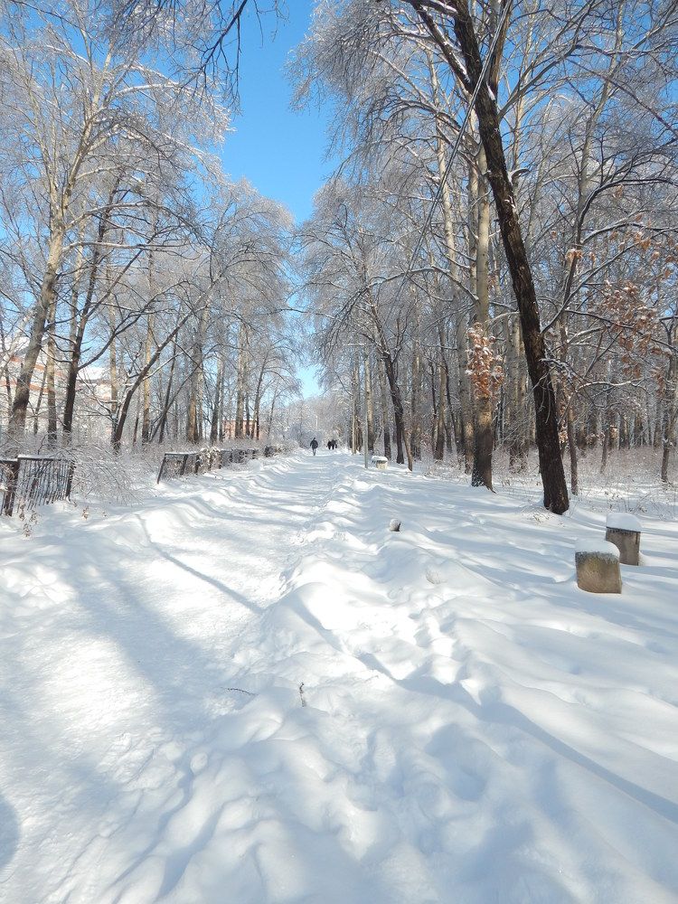 Аллея Бёркейдж.