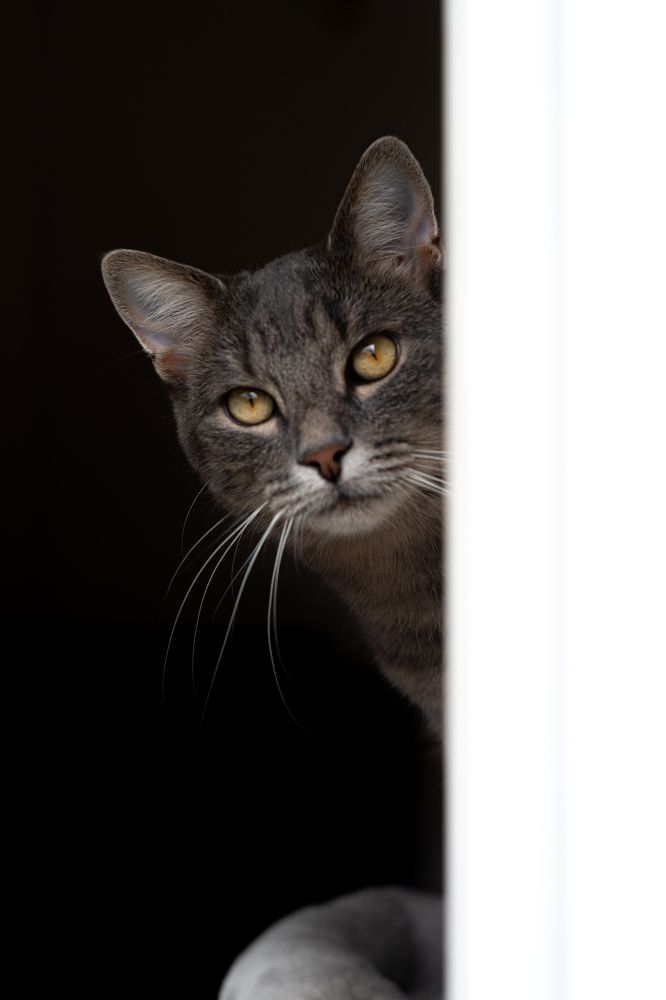 Photograph by Михаил Мамаев