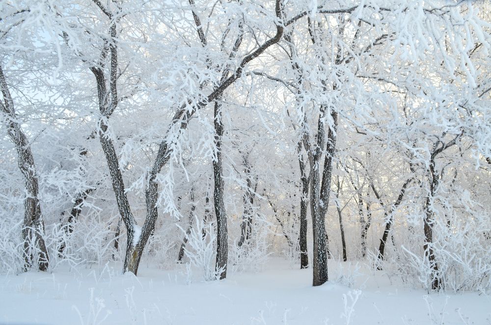 Photograph by Елена Чащина