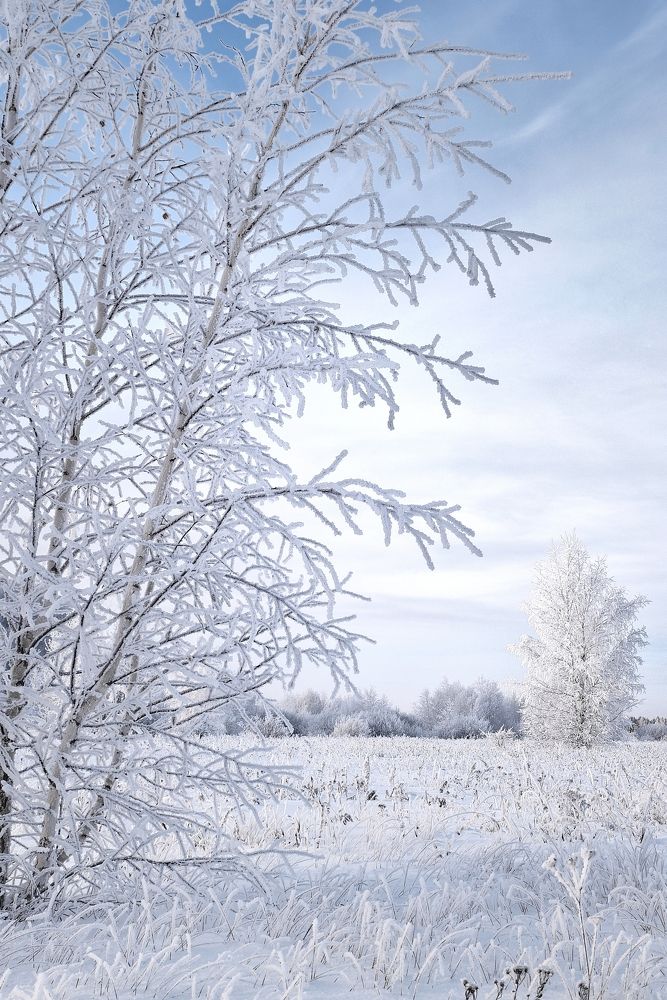 Photograph by Елена Чащина