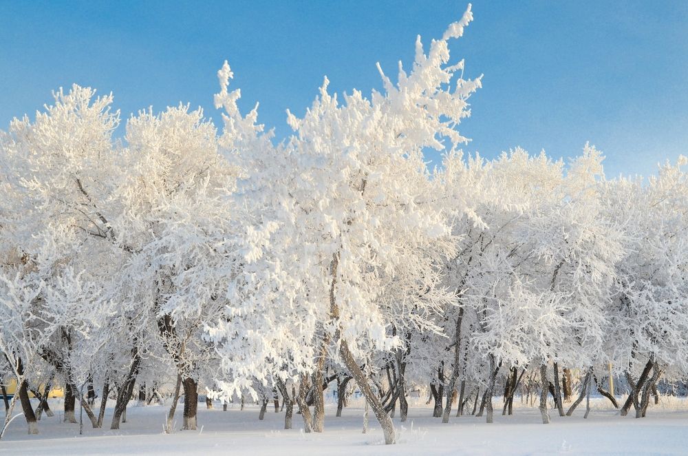 Photograph by Елена Чащина