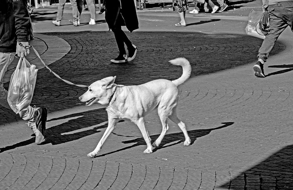 Photograph by Ruben Bittermann