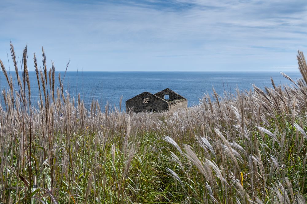 Photograph by Сыворотка Елена