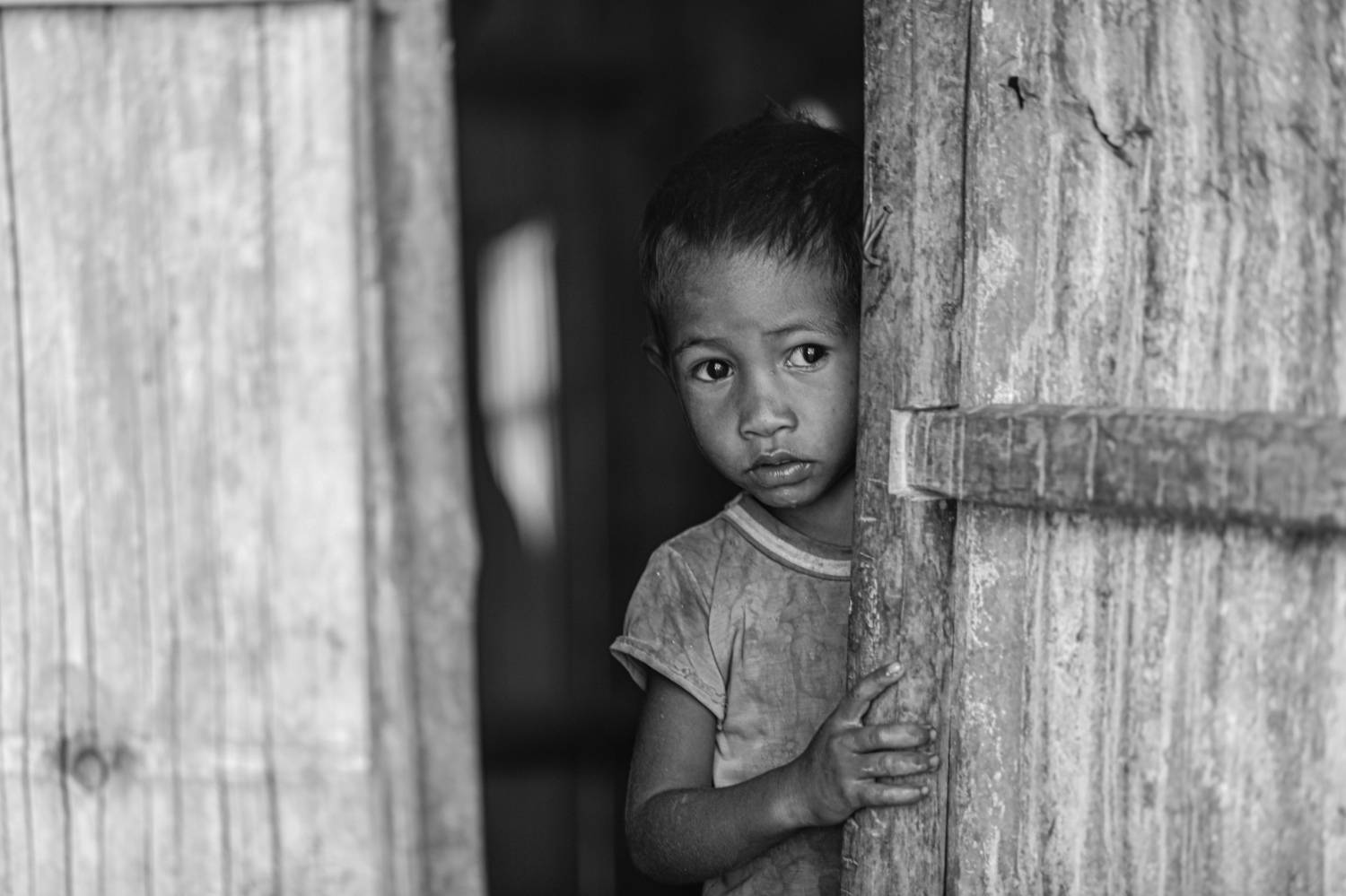 Photo #8753516