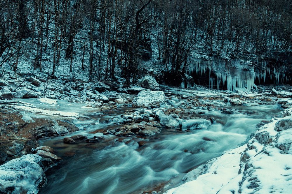 Photograph by EKATERINA WALTER