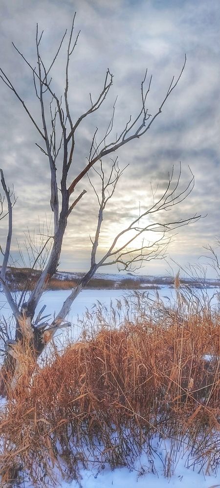 Photograph by Валентин Волк