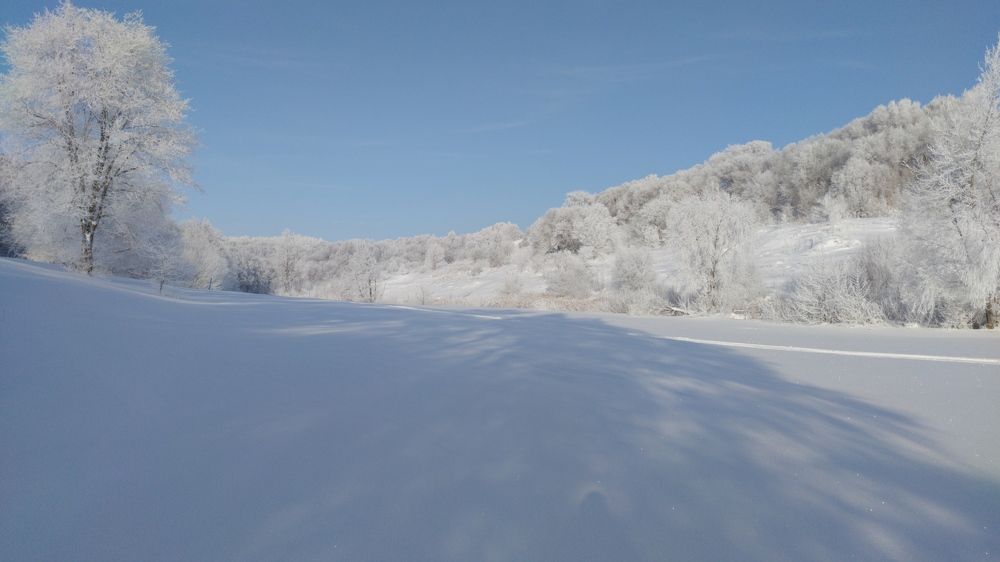 Фотография автора Андреянов А. В.