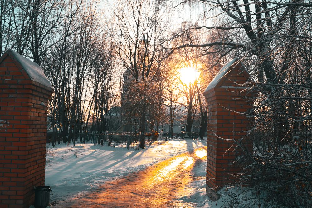 Photograph by Дмитрий Фадеев