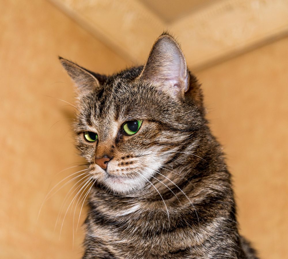 Photograph by Валерий Петухов