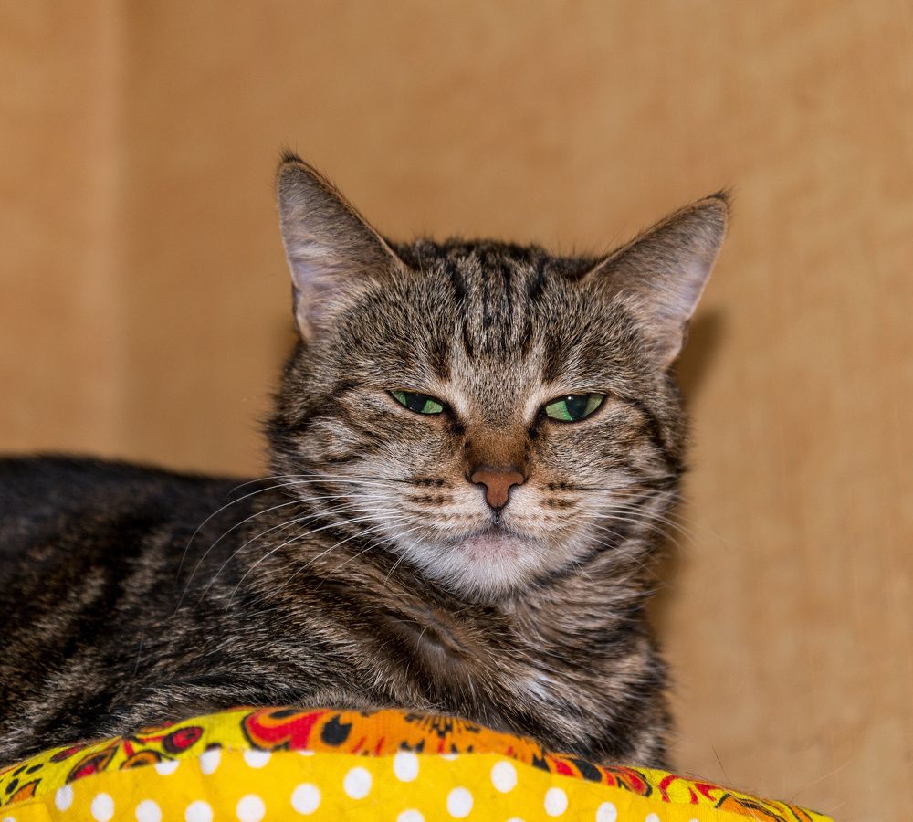 Photograph by Валерий Петухов