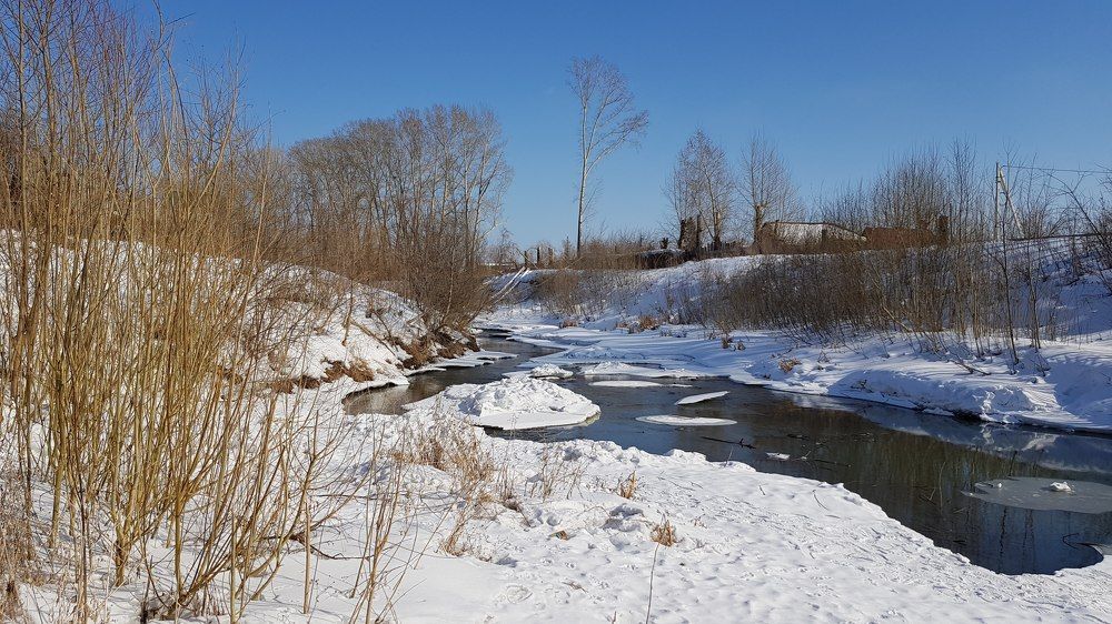 Фотография автора Максим Грибанов