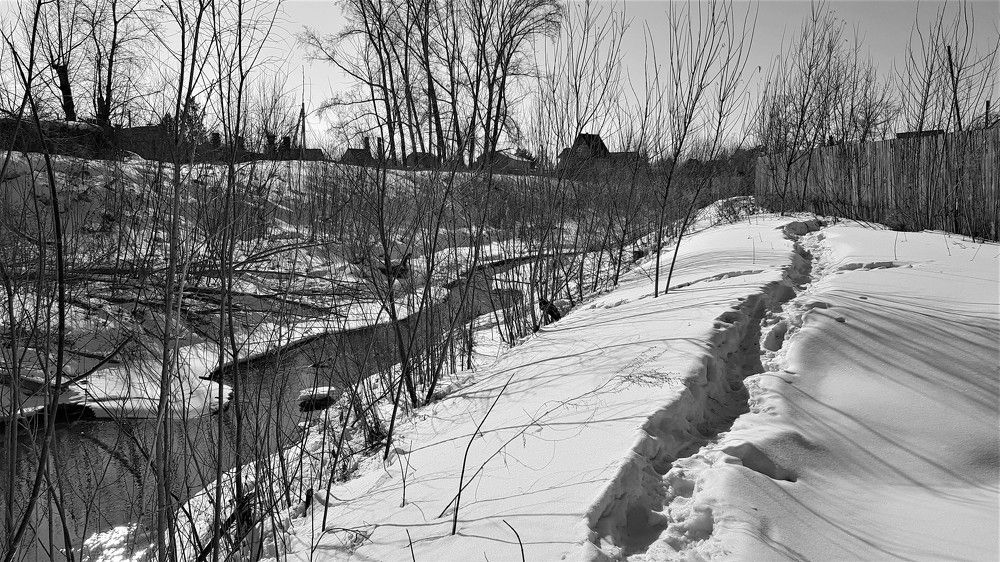 Фотография автора Максим Грибанов