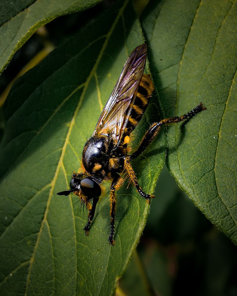 Фотография автора Дмитрий