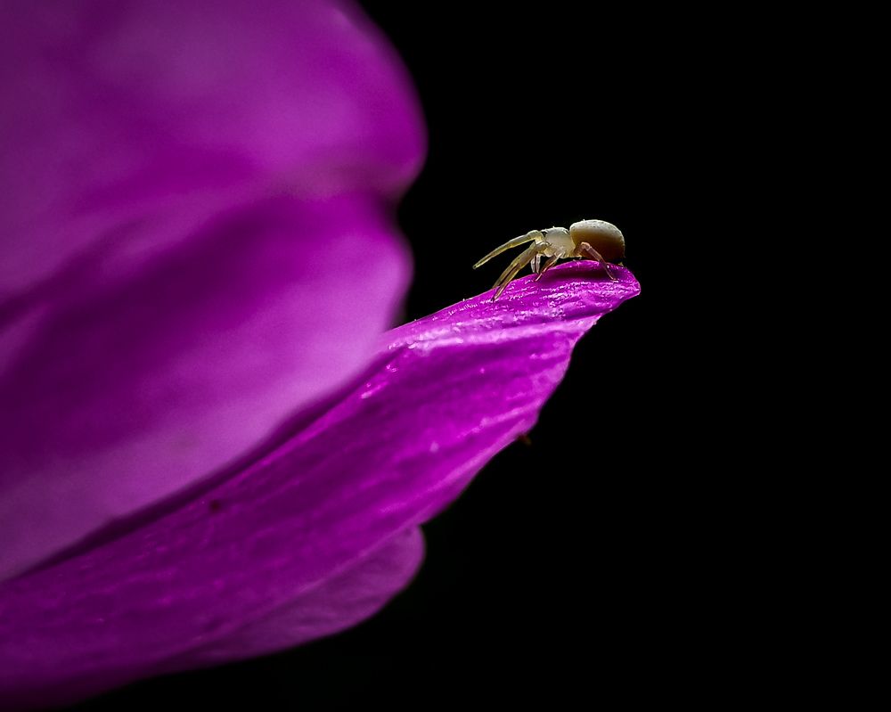 Фотография автора Дмитрий