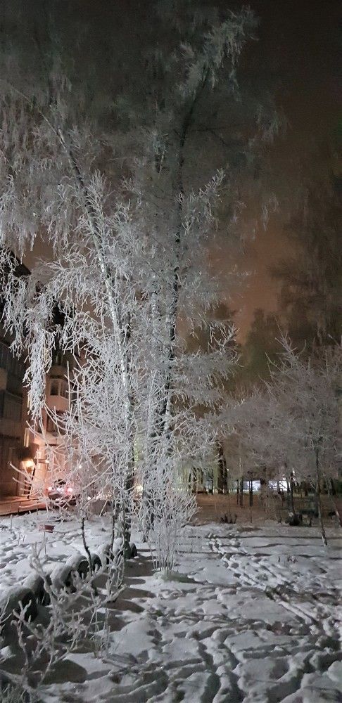 Фотография автора Максим Грибанов