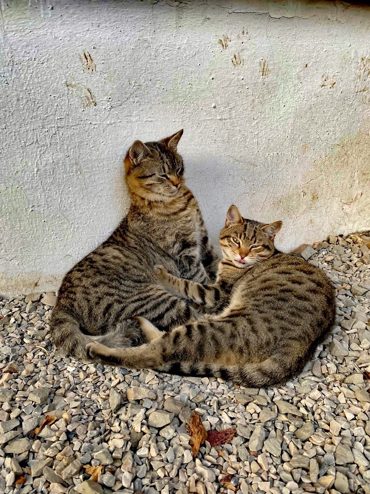 Photograph by Вадим Качанов