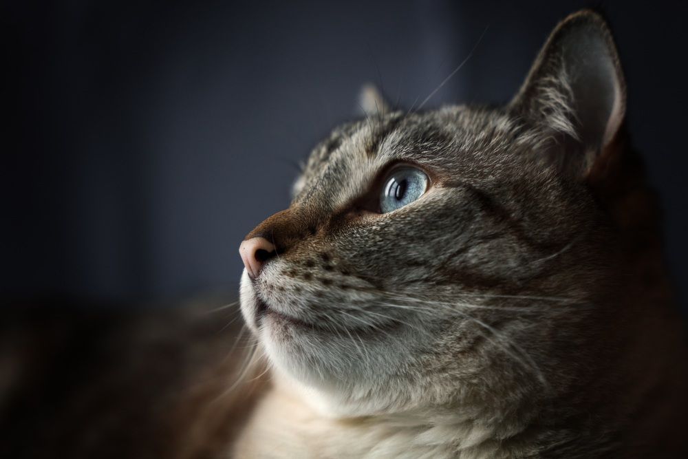 Photograph by Мария Акимова