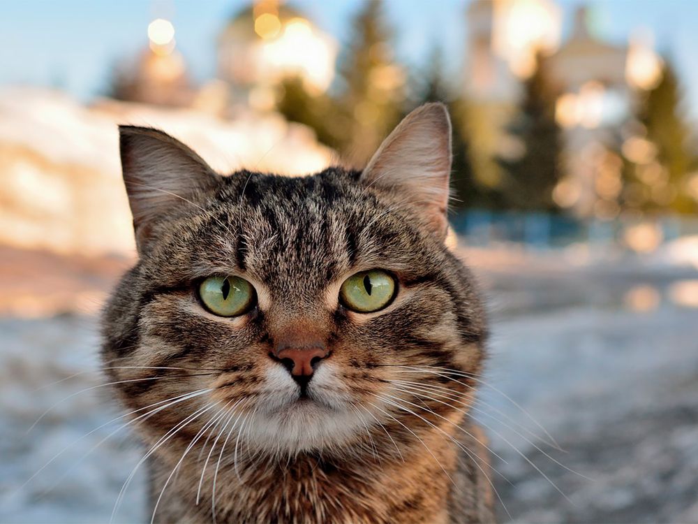 Photograph by Вадим Качанов