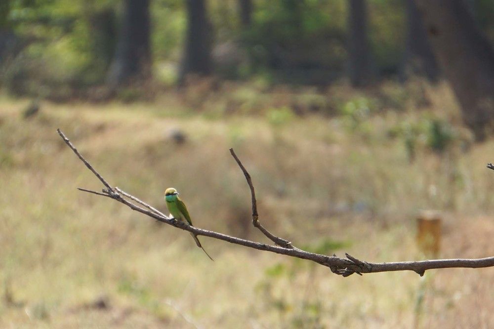 Photograph by Prabhu Viswanathan