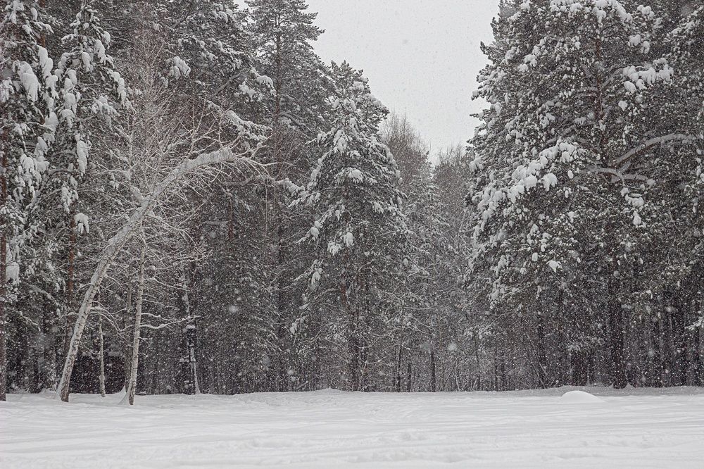 Photograph by Екатерина Першина