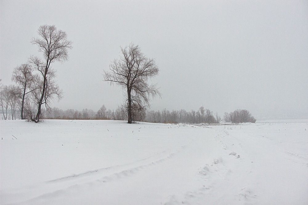 Photograph by Екатерина Першина