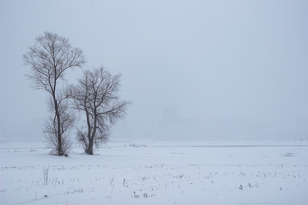 Photograph by Екатерина Першина