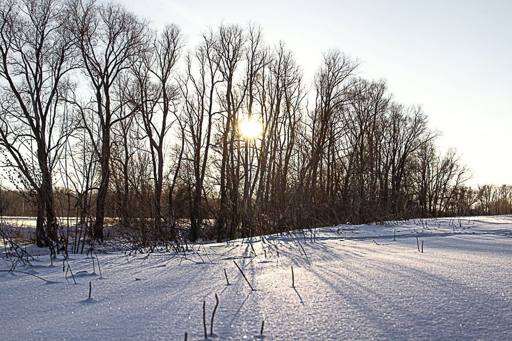 Photograph by Екатерина Першина