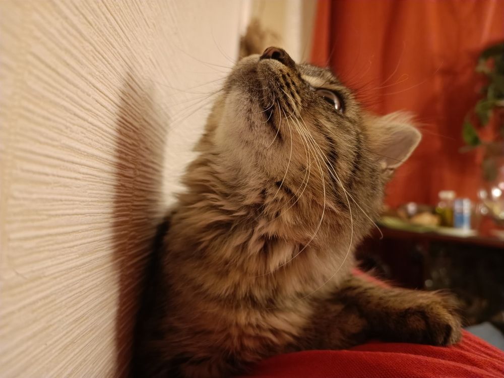 Photograph by Марина Хохрякова