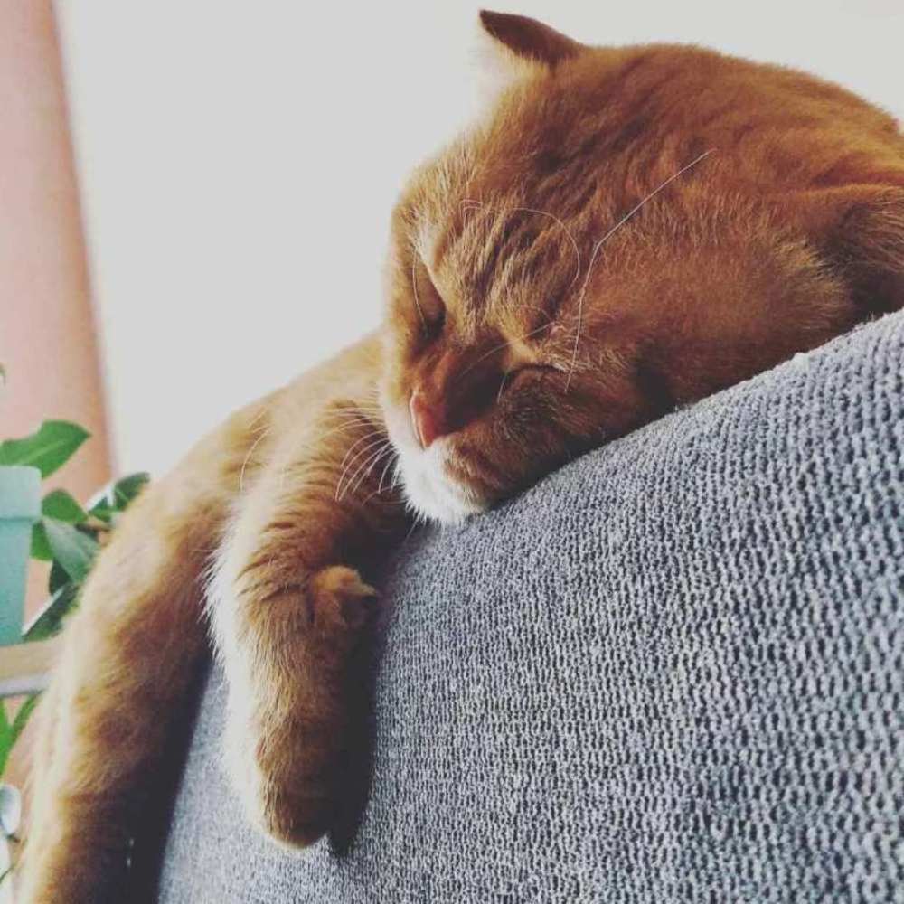 Photograph by Наталья Викторовна