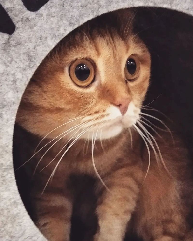 Photograph by Наталья Викторовна