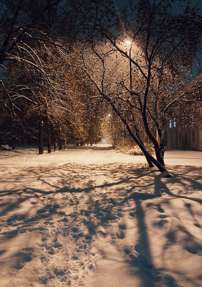 Photograph by Евгения Шубенкова