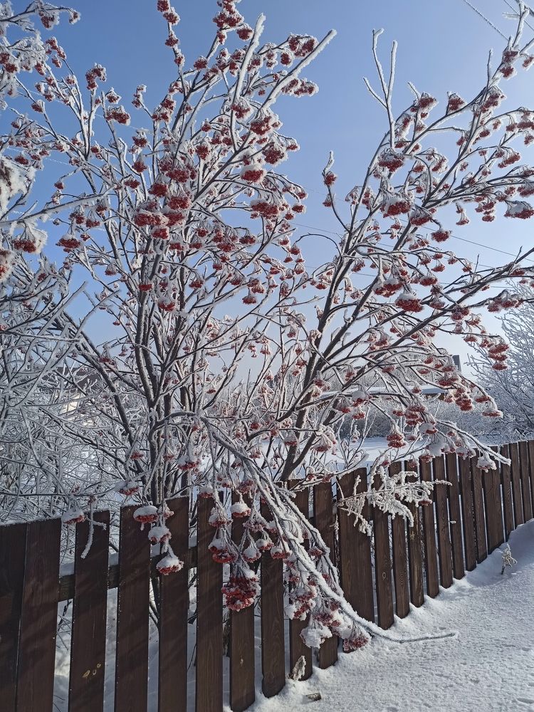 Photograph by Людмила Фурсова